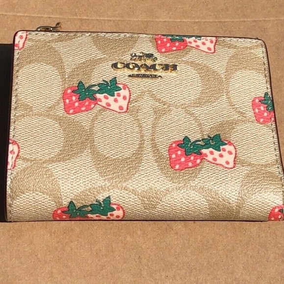 strawberry wallet coach